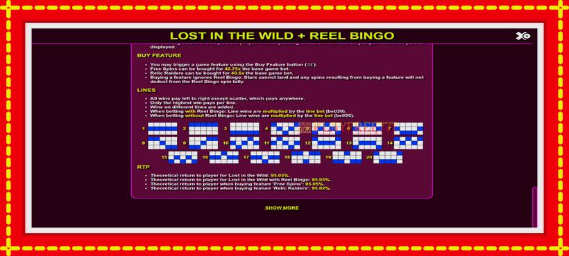 Slot machine Lost in the Wild with Reel Bingo with access to free game online, picture 7