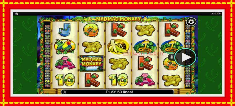 Slot machine Mad Mad Monkey with access to free game online, picture 1