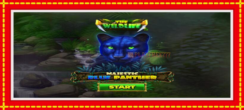 Slot machine Majestic Blue Panther with access to free game online, picture 1