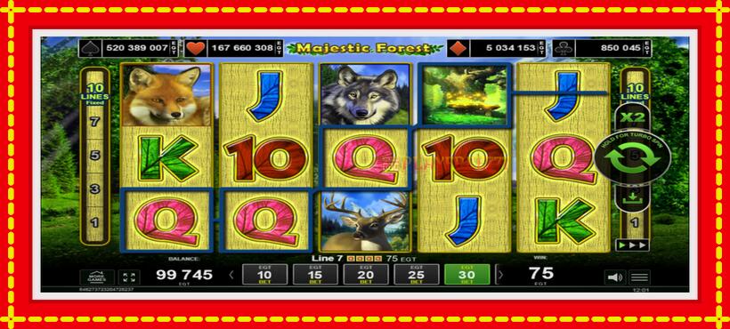 Slot machine Majestic Forest with access to free game online, picture 2