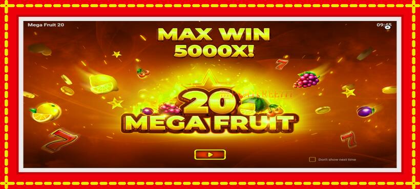 Slot machine Mega Fruit 20 with access to free game online, picture 1