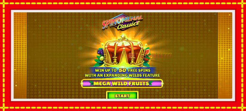 Slot machine Mega Wild Fruits with access to free game online, picture 1