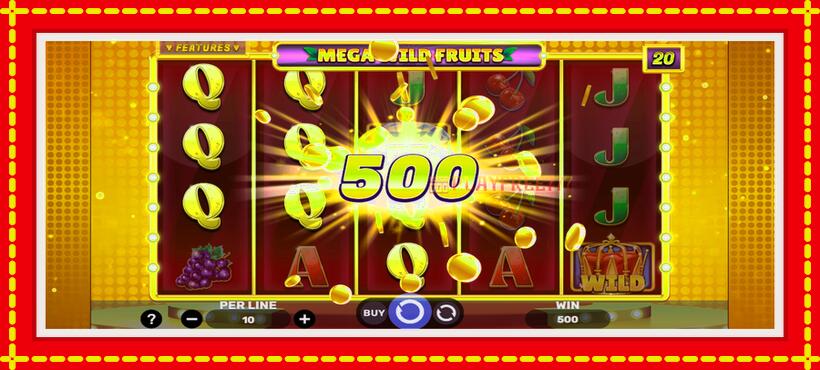 Slot machine Mega Wild Fruits with access to free game online, picture 3