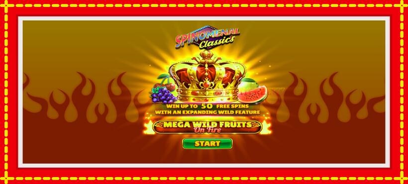 Slot machine Mega Wild Fruits - On Fire with access to free game online, picture 1