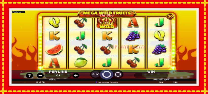 Slot machine Mega Wild Fruits - On Fire with access to free game online, picture 2