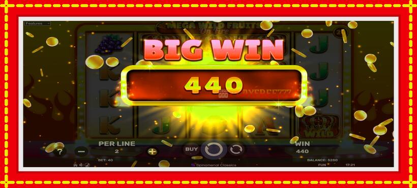 Slot machine Mega Wild Fruits - On Fire with access to free game online, picture 3