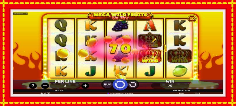 Slot machine Mega Wild Fruits - On Fire with access to free game online, picture 4