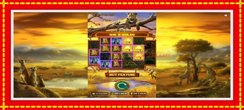 Slot machine Mega Wild Safari with access to free game online, picture 3