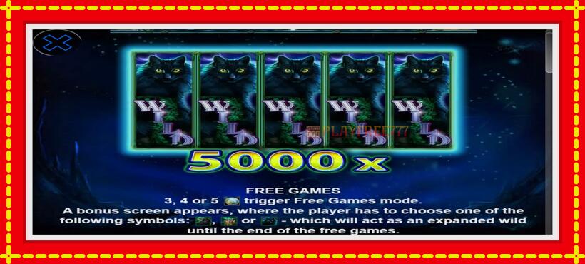 Slot machine Mystic Moon with access to free game online, picture 4