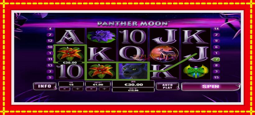 Slot machine Panther Moon with access to free game online, picture 2