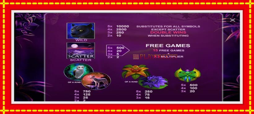 Slot machine Panther Moon with access to free game online, picture 3