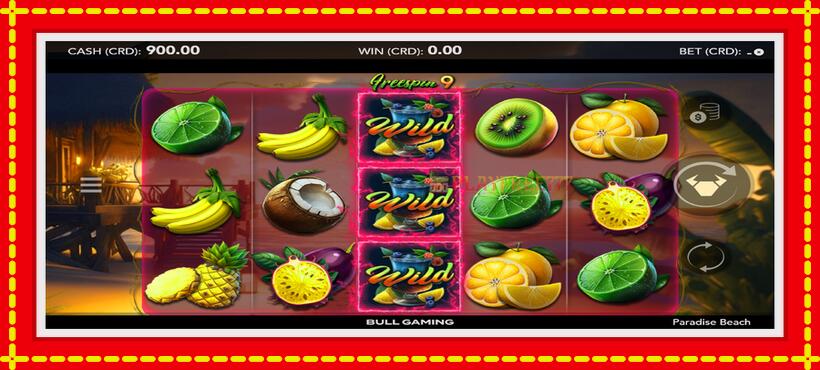 Slot machine Paradise Beach with access to free game online, picture 2