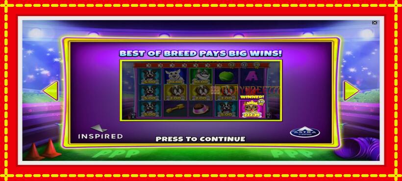 Slot machine Perfect Prize Pooch with access to free game online, picture 1