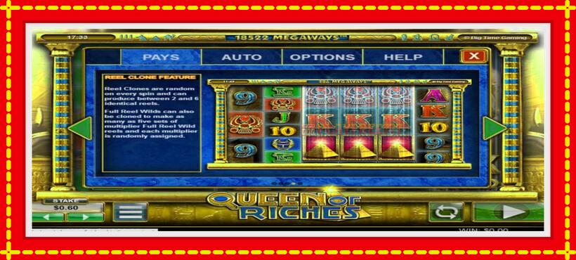 Slot machine Queen of Riches with access to free game online, picture 3