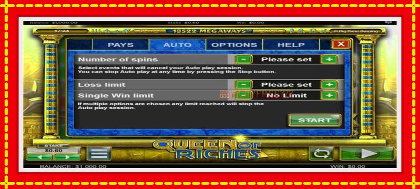 Slot machine Queen of Riches with access to free game online, picture 7