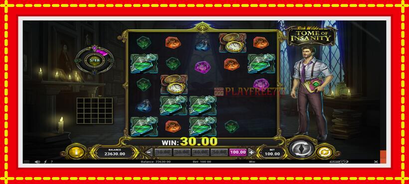 Slot machine Rich Wilde and the Tome of Insanity with access to free game online, picture 4