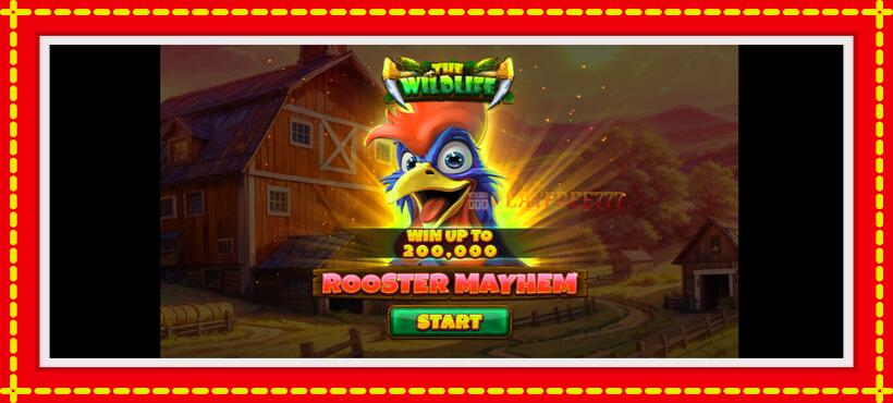 Slot machine Rooster Mayhem with access to free game online, picture 1