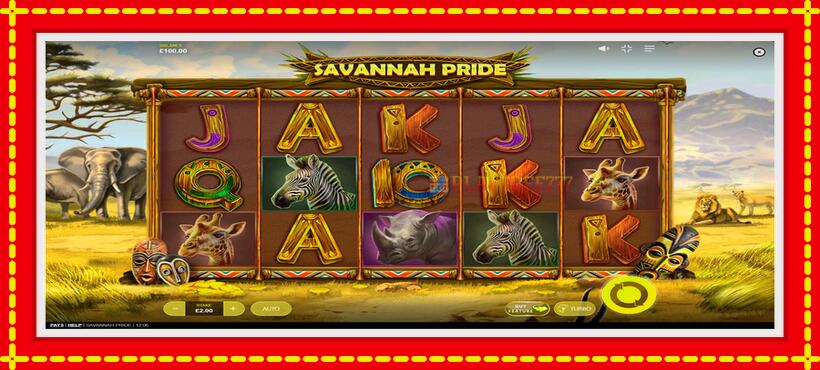 Slot machine Savannah Pride with access to free game online, picture 1