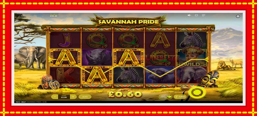 Slot machine Savannah Pride with access to free game online, picture 2