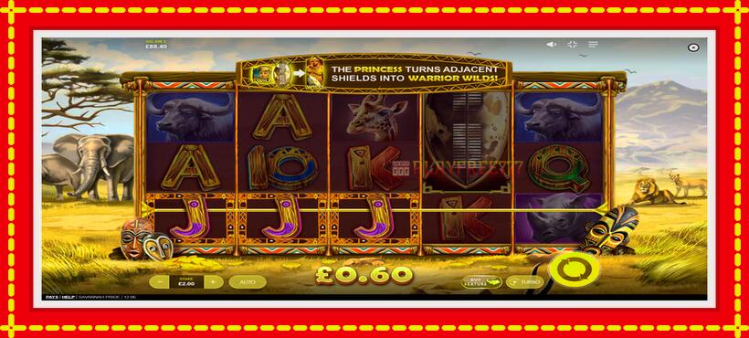 Slot machine Savannah Pride with access to free game online, picture 4