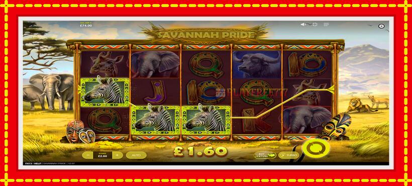 Slot machine Savannah Pride with access to free game online, picture 5