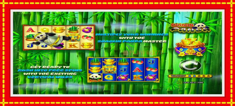 Slot machine Shaolin Panda with access to free game online, picture 1