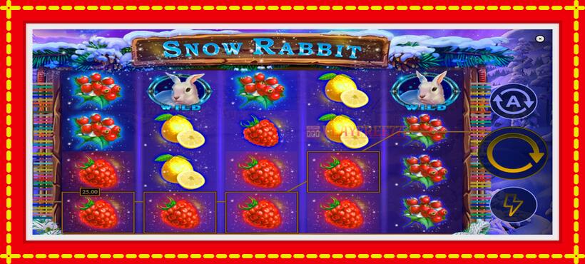 Slot machine Snow Rabbit with access to free game online, picture 4