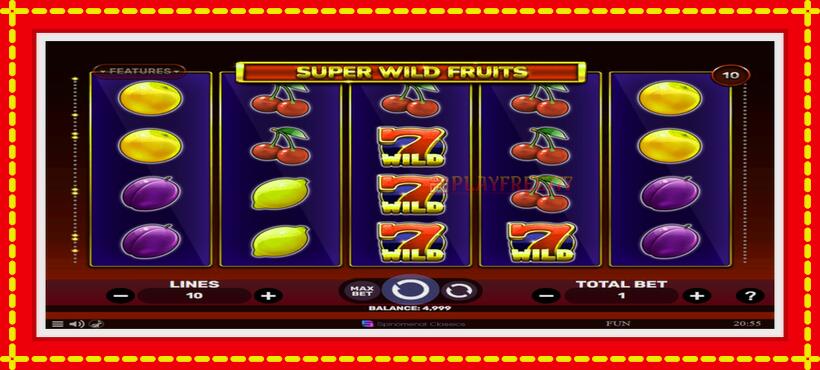 Slot machine Super Wild Fruits with access to free game online, picture 1