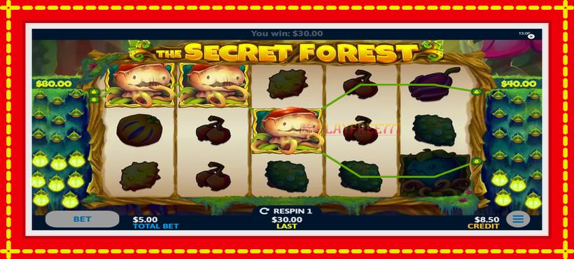 Slot machine The Secret Forest with access to free game online, picture 3