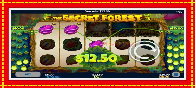 Slot machine The Secret Forest with access to free game online, picture 4