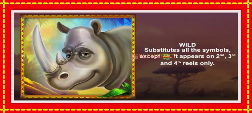 Slot machine The Wild Rhino with access to free game online, picture 5