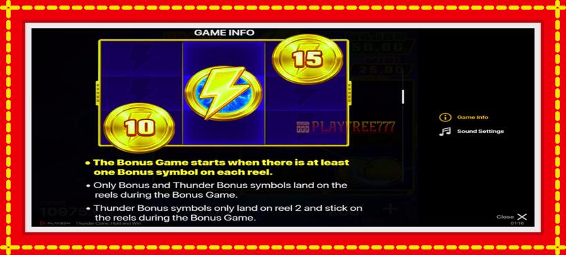 Slot machine Thunder Coins with access to free game online, picture 5