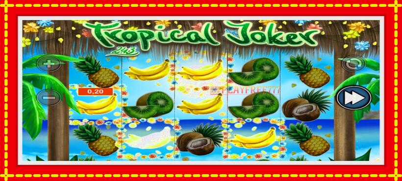 Slot machine Tropical Joker with access to free game online, picture 3