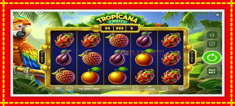 Slot machine Tropicana Fruits with access to free game online, picture 2