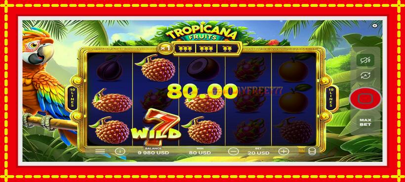 Slot machine Tropicana Fruits with access to free game online, picture 3