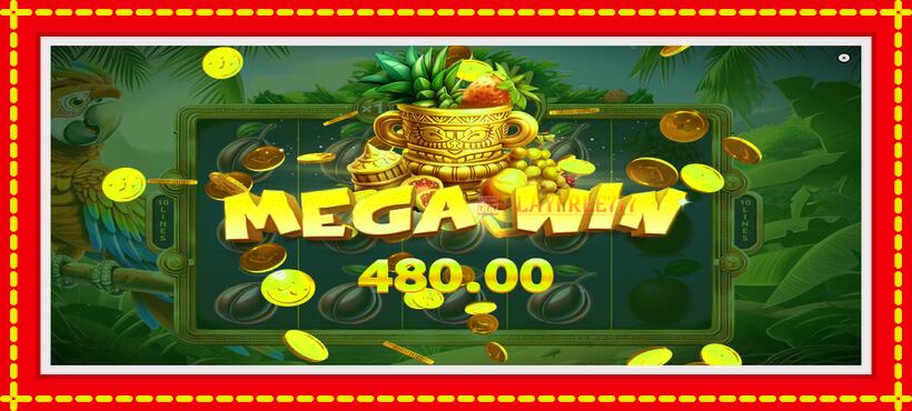 Slot machine Tropicana Fruits with access to free game online, picture 4