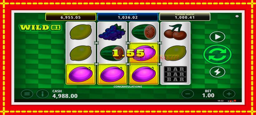 Slot machine Wild 81 with access to free game online, picture 3