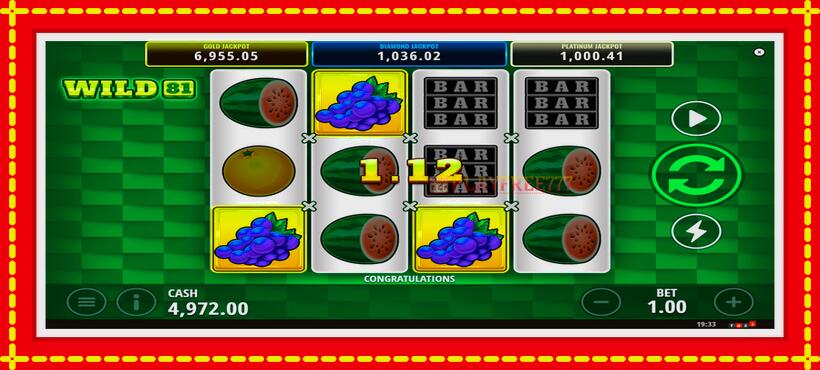 Slot machine Wild 81 with access to free game online, picture 4