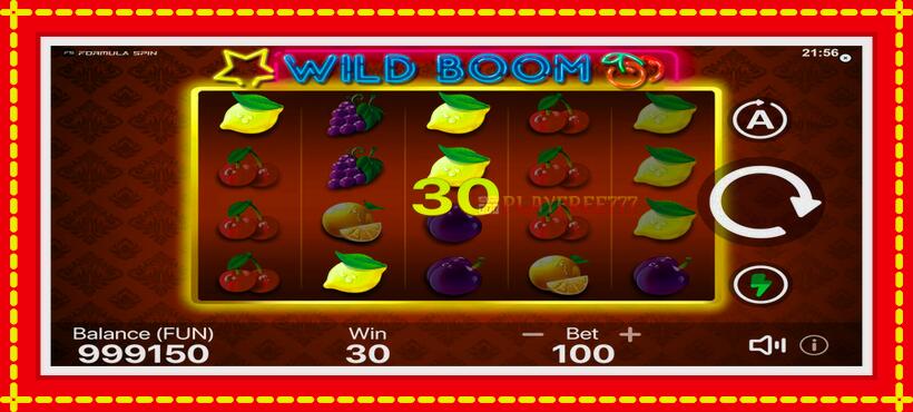 Slot machine Wild Boom with access to free game online, picture 4