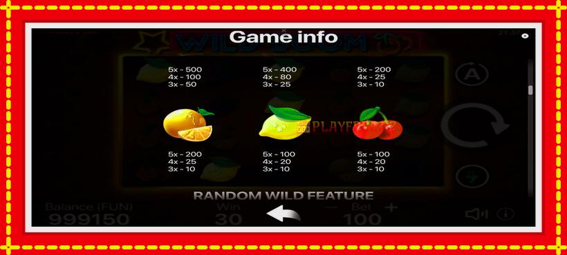 Slot machine Wild Boom with access to free game online, picture 6