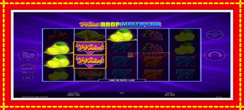 Slot machine Wild Drop Multiplier with access to free game online, picture 3