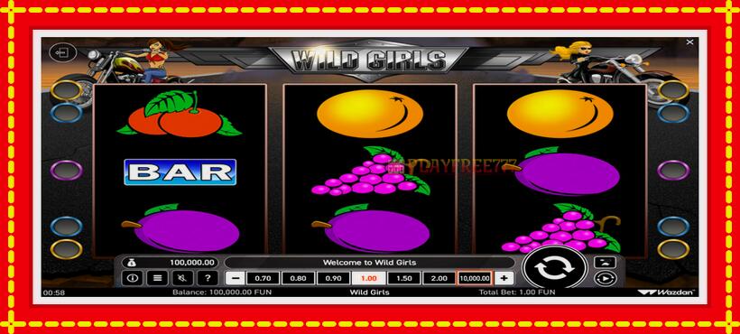 Slot machine Wild Girls with access to free game online, picture 1