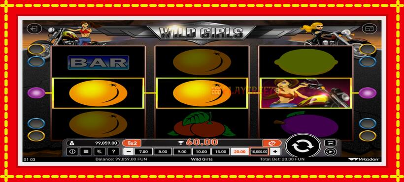 Slot machine Wild Girls with access to free game online, picture 5