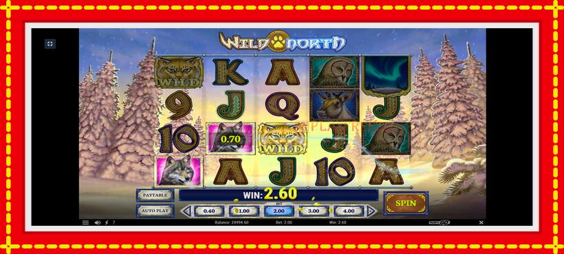 Slot machine Wild North with access to free game online, picture 2