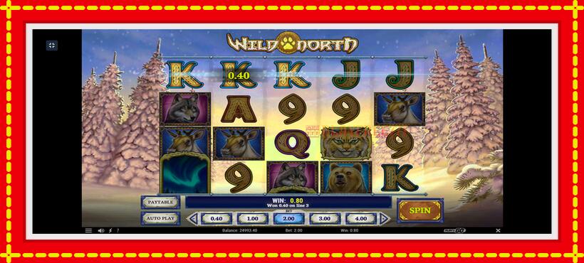 Slot machine Wild North with access to free game online, picture 3