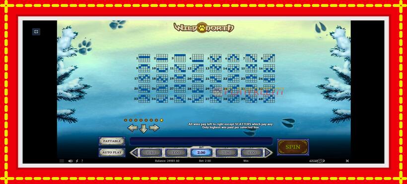 Slot machine Wild North with access to free game online, picture 6