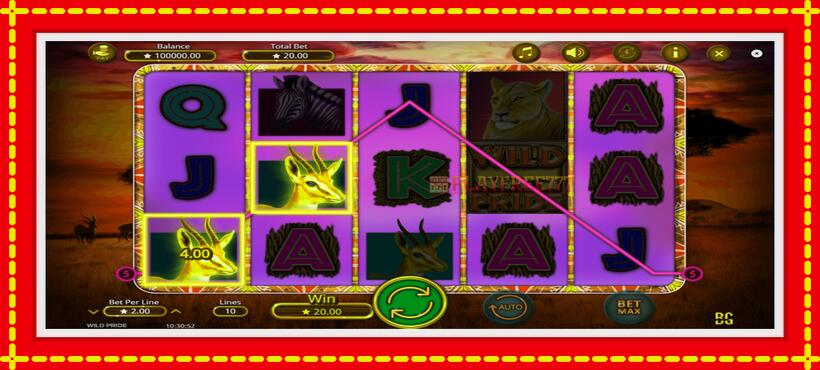 Slot machine Wild Pride with access to free game online, picture 4