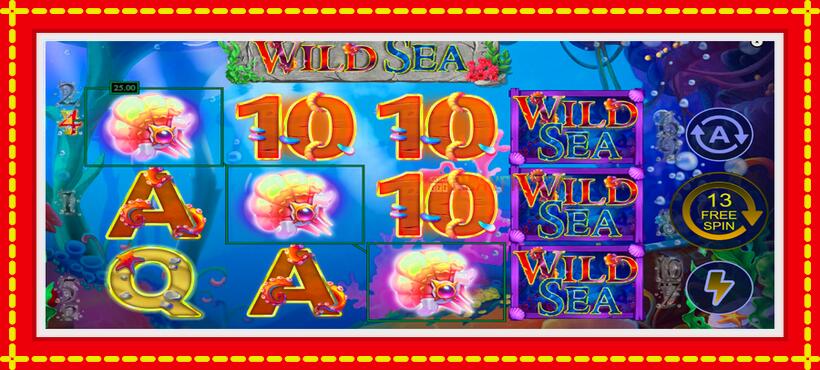 Slot machine Wild Sea with access to free game online, picture 3