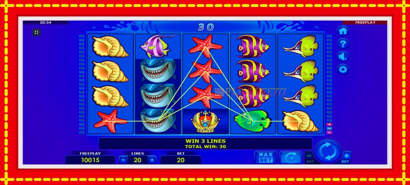 Slot machine Wild Shark with access to free game online, picture 2