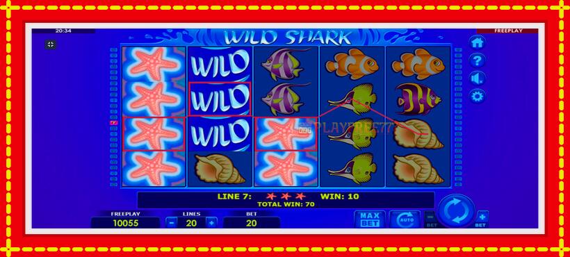 Slot machine Wild Shark with access to free game online, picture 3